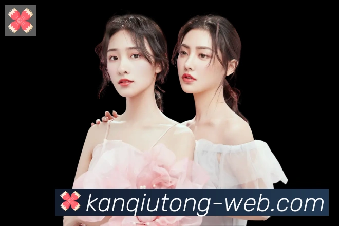 看球通体育直播荣誉